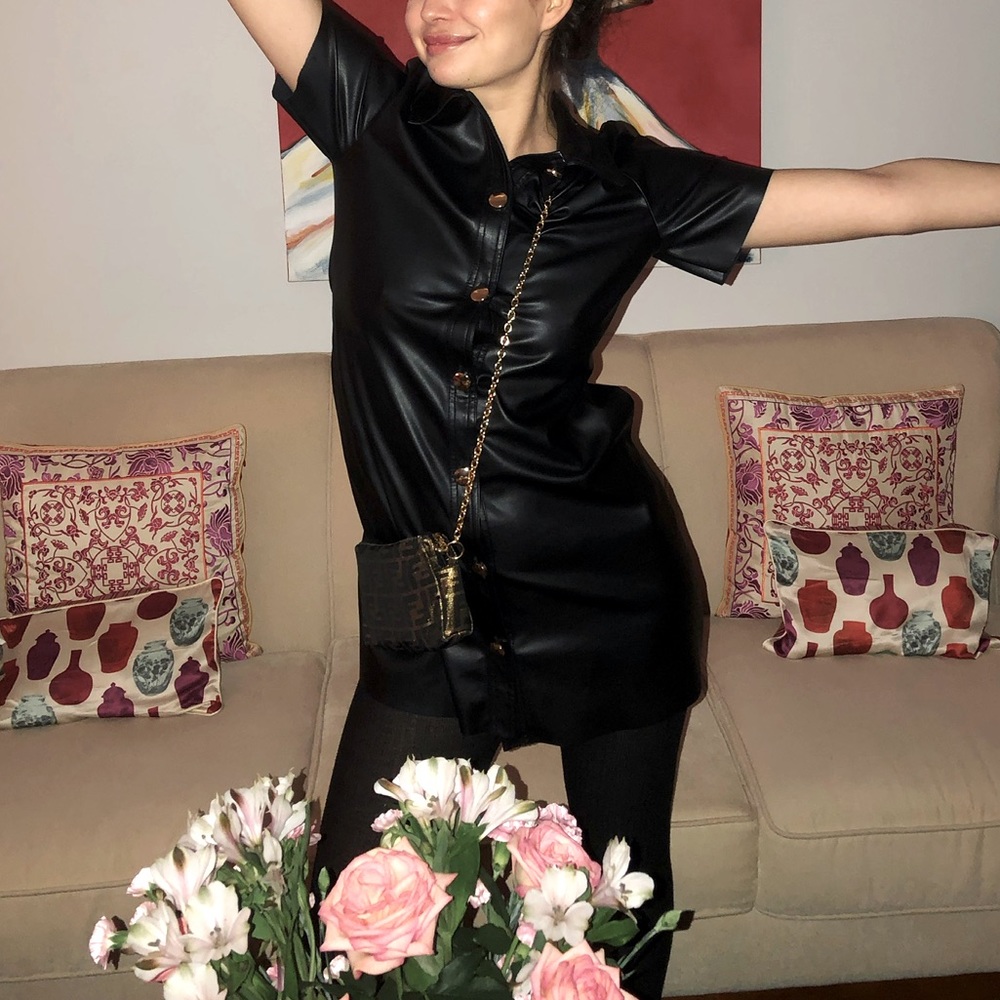 Zara Leather Button-Down Dress